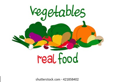 Real food vegetables lying bunch isolated. Vector illustration EPS 10