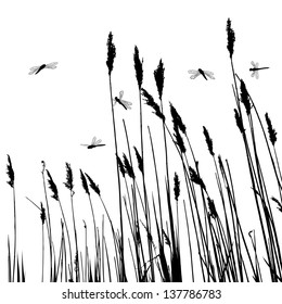 Real grass silhouette and  few dragonflies  - vector