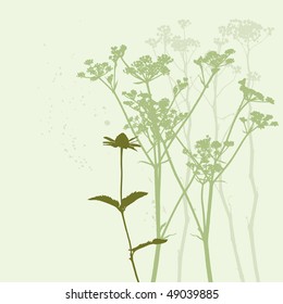 real grass silhouette - summer background