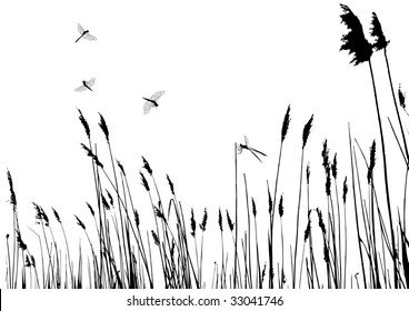 real grass silhouette - vector - two colors