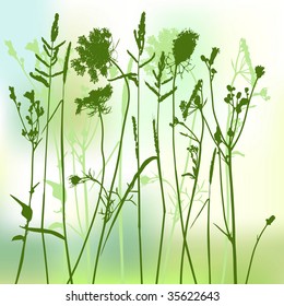 real grass silhouette - vector - two colors