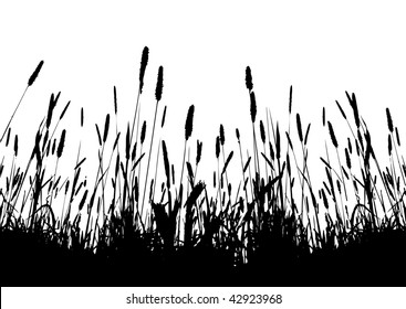 real grass vector silhouette / on white background