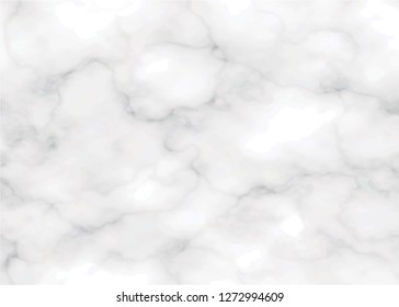 real grayscale marble texture  background vector eps10