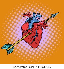 real heart with Cupid arrow. Comic cartoon pop art retro vector drawing