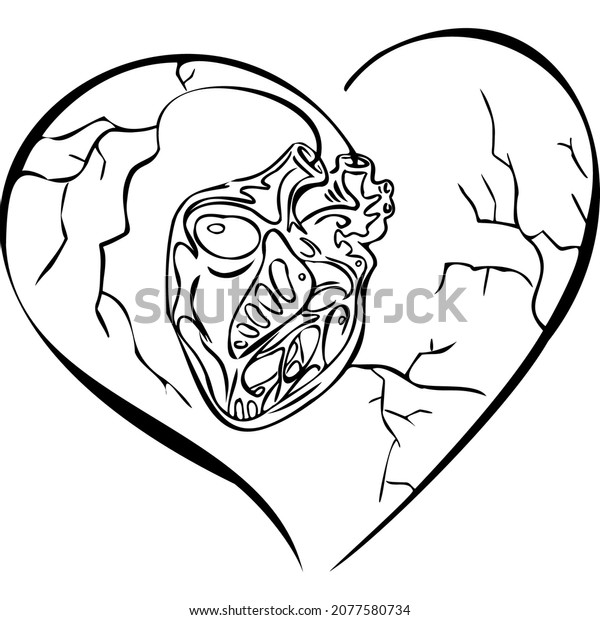 Real Heart Figure Drawn Sketch Vector Stock Vector (Royalty Free ...