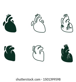 Real Heart Icons Set. Vector Illustration. Organ Icon