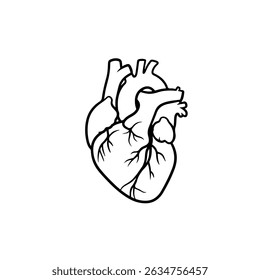 Real Heart Outline silhouette vector flat illustration design.