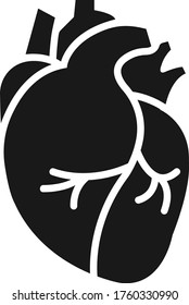 Real Human Heart Organ Icon