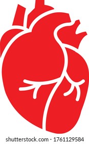 Real Human Heart Organ Icon