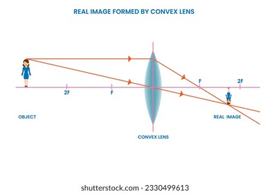 Una imagen real formada por una lente convexa se encuentra frente a la lente, se puede proyectar en una pantalla, y se forma por la intersección real de rayos de luz.