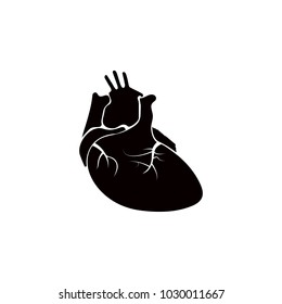 Real Image Of The Human Heart Icon. Detailed Icon Of Parts Of Human Organs Icon. Premium Quality Graphic Design. One Of The Collection Icon For Websites, Web Design, Mobile App On White Background