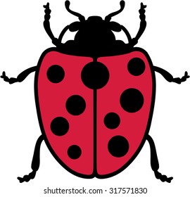 Real Ladybug