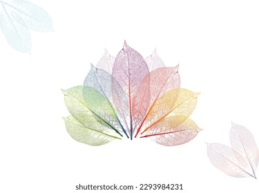 Real leaf with detail vein and various colorful , decoration elements. Fresh green leaves and colorful leaf background  vector illustration