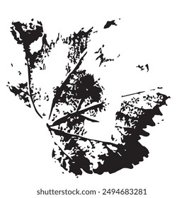 real maple leaf print made with paint, for a variety of designs, vector