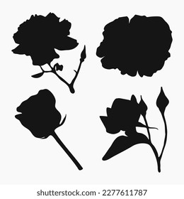 Real modern silhouettes plants, herbs. Drawing flowers begonia. Bud rose