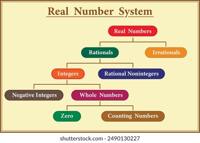 The Real Number System. Education. Science. School. Vector illustration