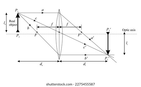Real rays a, b, c from P on real object P P are, for convenience, 1 1 2 drawn parallel to the optic axis, through F, and through the center of the lens