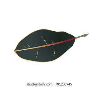 real realistic summer nature leaf green plant from natural tree in tropical forest vector illustration element