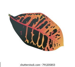 real realistic summer nature leaf green plant from natural tree in tropical forest vector illustration element
