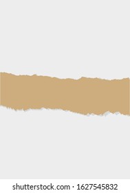 Real Ripped Paper Vector for writer
