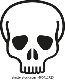 Real skull head