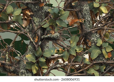Real tree forest hunting camouflage seamless pattern design with barks and leaves. Camouflage repeat pattern
Vector Formats