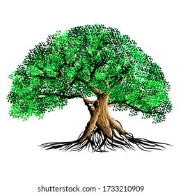 real tree vector with dense green leaves and roots. isolated white background