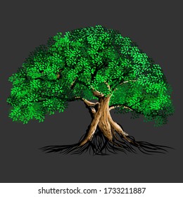 real tree vector with dense green leaves and roots. isolated gray background