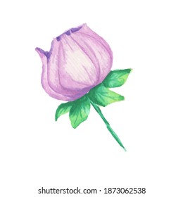 Real watercolor flower element. This flower element is hand-painted using real watercolor and converted into digital file.