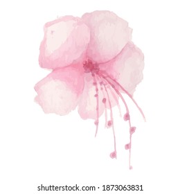 Real watercolor flower element. This flower element is hand-painted using real watercolor and converted into digital file. It represent the vintage style and mixed with modern style.