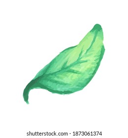 Real watercolor leaf element. This leaf element is hand-painted using real watercolor and converted into digital file.