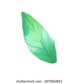 Echtes Aquarellblatt-Element. Dieses Blatt-Element wird mit echter Wasserfarbe handgemalt und in digitale Datei umgewandelt.