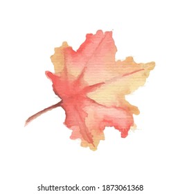 Real watercolor oak leaf element. This oak leaf element is hand-painted using real watercolor and converted into digital file.