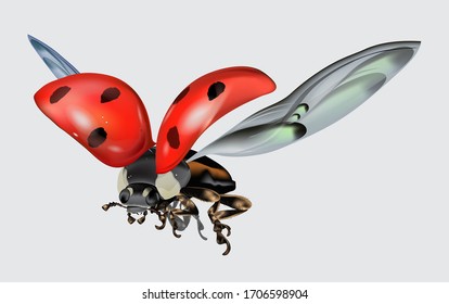 Realictic flying ladybug isolated on white background. Macro image of an insect. Vector illustration