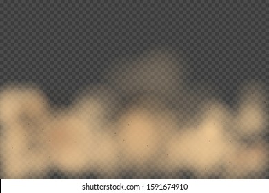 Realictic road dust cloud, soil particles isolated on transparent background.  City smog, Sand storm, powder explosion. Vector illustration.