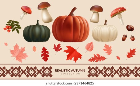 Realistic 3d autumn set of pumpkins, mushrooms, leaves, acorn. Autumn collection poisoned and edible mushrooms, oak, maple red leaf. Design elements for fall season banners, cards, invitation. Not AI