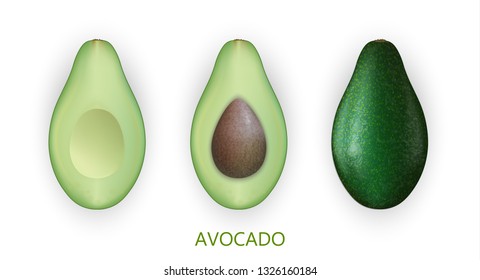Realistic 3d avocado fruit isolated on white background. Cut pieces of avocado with seed. Vector Illustration. EPS 10