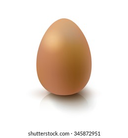 Realistic 3D Brown Egg. 
Egg on white background with reflection. Design Template for Mock Up.
Object for Easter Day Style Template.
Vector illustration