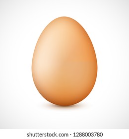 Realistic 3d brown egg with shadow. Template for easter. Food icon isolated on white background. Vector illustration