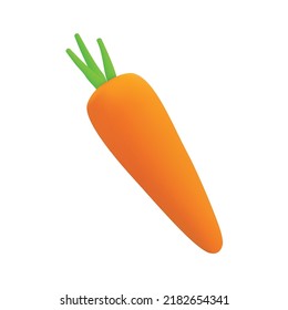 realistic 3d carrot vector icon, carrot fruit vector icon isolated on white background