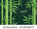 Realistic 3d Detailed Bamboo Chinese Green Plant Background Card Spa or Zen Concept for Business. Vector illustration