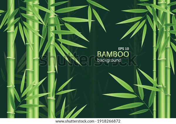 Realistic 3d\
Detailed Bamboo Chinese Green Plant Background Card Spa or Zen\
Concept for Business. Vector\
illustration