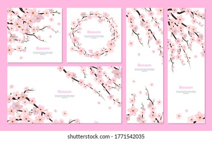 Realistic 3d Detailed Blooming Cherry Blossom Card Set Pink Petals and Branches for Decoration. Vector illustration of Spring Sakura Flowers