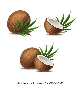 Gratuito 3d Detallado Marrón Exótico Coco Entero, Medio y Green Leaf Set. Ilustración vectorial de fruta tropical fresca