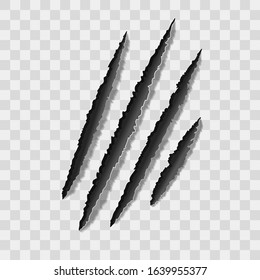 Realistic 3d Detailed Claw Marks or Scratches Set on a Transparent Background. Vector illustration of Texture Effect