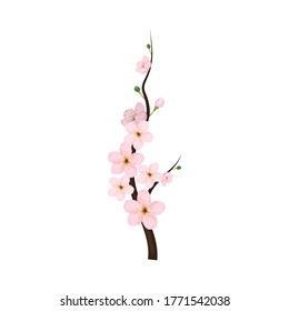 Realistic 3d Detailed Curved Blooming Cherry Blossom Pink Petals and Branches for Decoration. Vector illustration of Spring Sakura Flowers