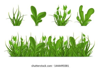 Realistic 3d Detailed Green Grass Border and Elements Set. Vector illustration of Decoration Field or Meadow Texture