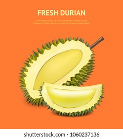 Realistic 3d Detailed Ripe Exotic Asian Tropical Fruit Closeup Durian Card Poster Healthy Food Snack and Dessert. Vector illustration of Durians