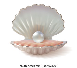 Realistic 3d Detailed Shiny Pearl in Shell Symbol of Luxury Jewelry and Treasure Isolated on a White Background. Vector illustration