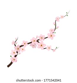 Realistic 3d Detailed Vibrant Blooming Cherry Blossom Pink Petals and Branches for Decoration. Vector illustration of Spring Sakura Flowers